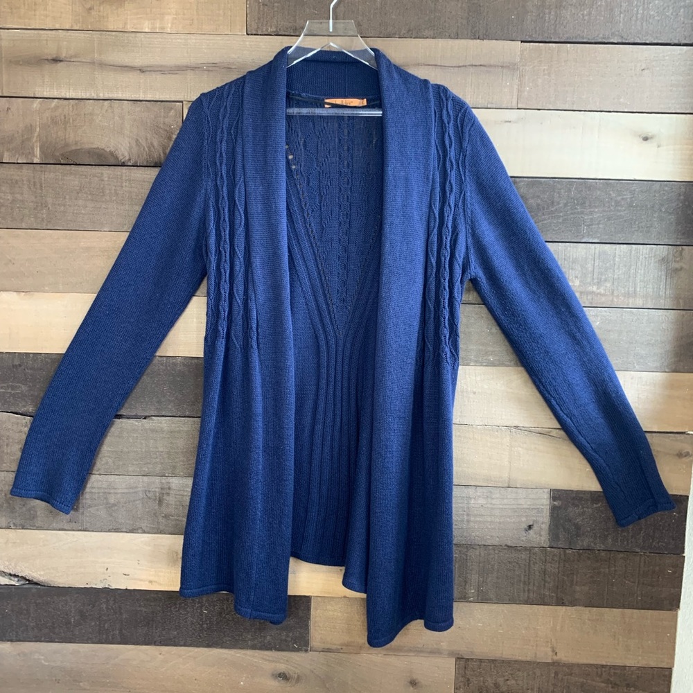 Knit, Long Sleeve, Blue Cardigan /Sweater